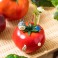 My Neighbor Totoro Accessories - Totoro And Tomato Single Vase