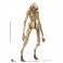 Alien Figures - 1/18 Scale Alien Resurrection The Newborn Exclusive