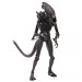 Alien Figures - 1/18 Scale Aliens Brown Warrior Alien Exclusive