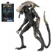 Alien Vs Predator 7" Scale Figures - Alien Assortment (Movie Deco)