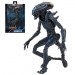 Alien Vs Predator 7" Scale Figures - Alien Assortment (Movie Deco)